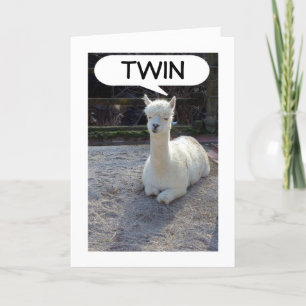 CARTÃO TWIN-LLAMA DIZ QUE NINGUÉM TEM UM GÊMEO MELHOR QUE