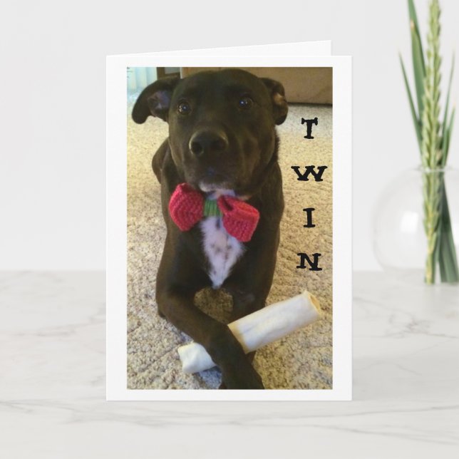 CARTÃO TWIN QUER DIZER FELIZ ANIVERSÁRIO E GOZAR! (Frente)