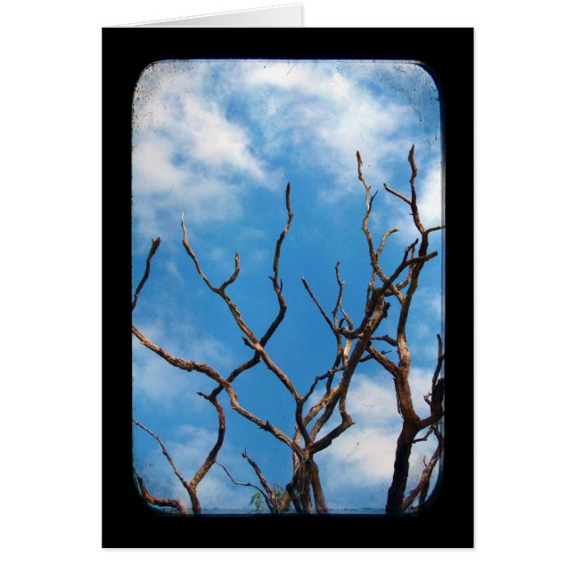 Cartão Twisted (Frente)