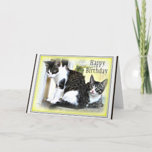 Cartão Two cute kittens Birthday card