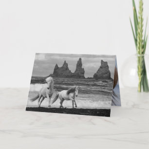 Cartão Two Icelandic Horses Leap Horse Greeting Card