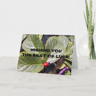 Cartão Two Years Old Ladybug Greeting Card