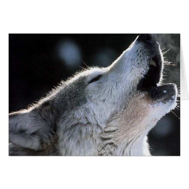 Cartão uivo (Frente Horizontal)