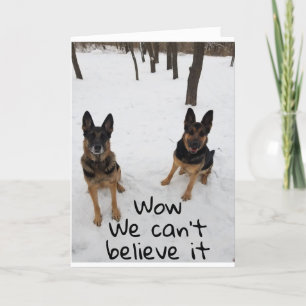 CARTÃO UM AMIGO E EU DIZEMOS VETERINÁRIO "FELIZ ANIVERSÁR