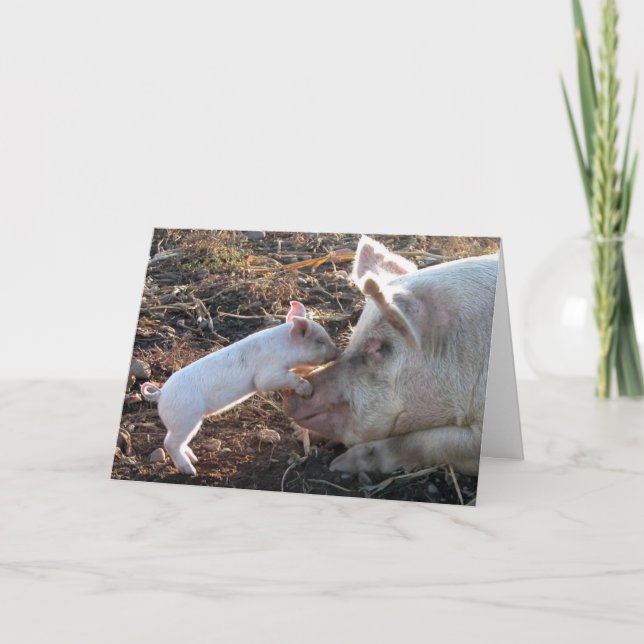 Cartão Um amor de mãe (Frente)