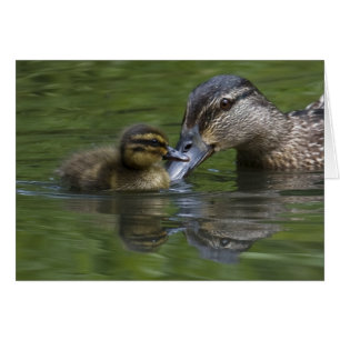 Cartão Um amor de mãe