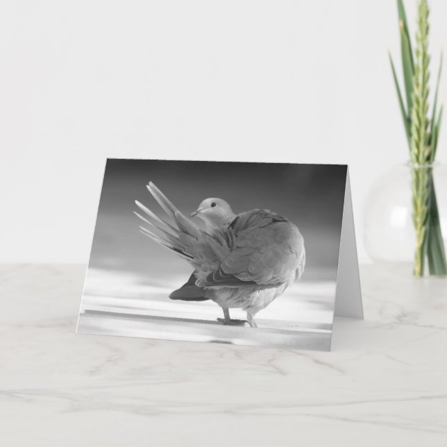 Cartão Um anjo no céu que eu cardo (Frente)