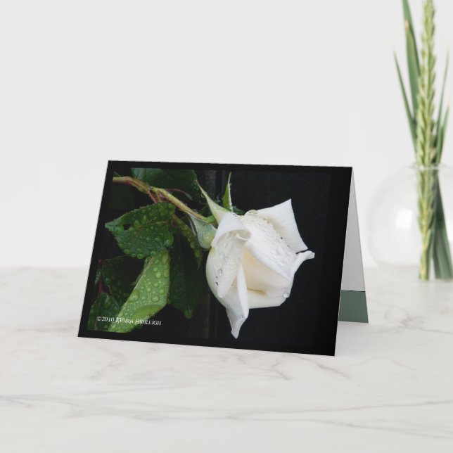 Cartão Um arco à manhã (Frente)