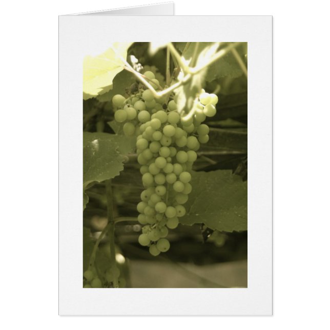 Cartão Um belo monte de uvas (Frente)