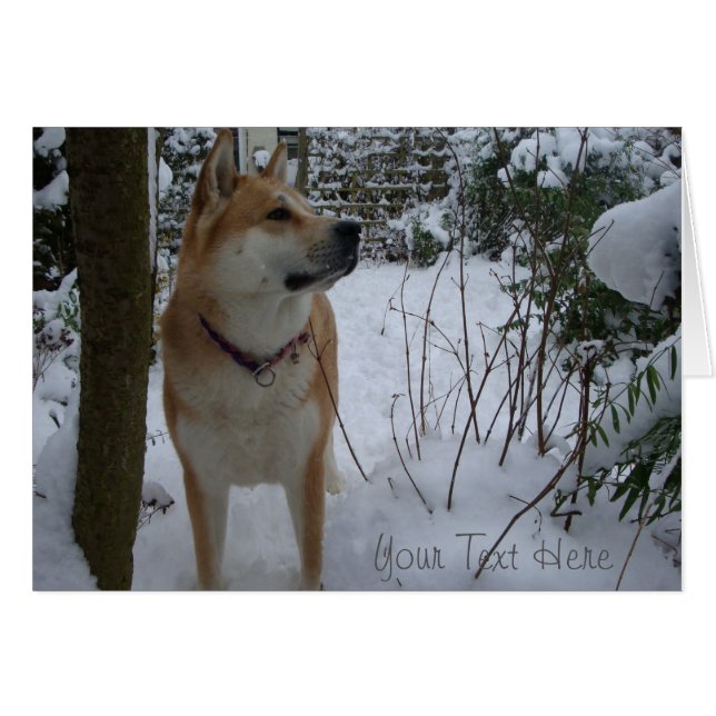 Cartão Um cachorro akita japonês bonito na neve no Natal (Frente horizontal)