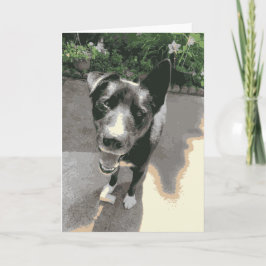 Cartão Um Cachorro Feliz Sorrindo Com Um Preto Ósseo