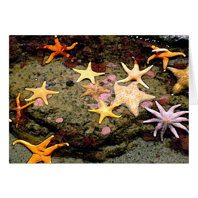 Cartão Um campo das estrelas (Frente Horizontal)