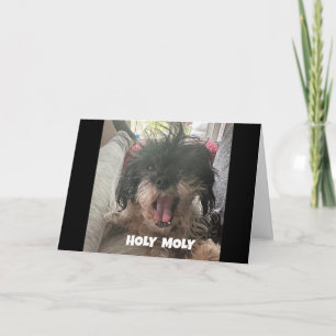 Cartão UM CÃO SÉRIO DIZ "aniversário de 40 anos FELIZ"