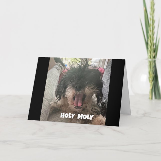 Cartão UM CÃO SÉRIO DIZ "aniversário de 40 anos FELIZ" (Frente)