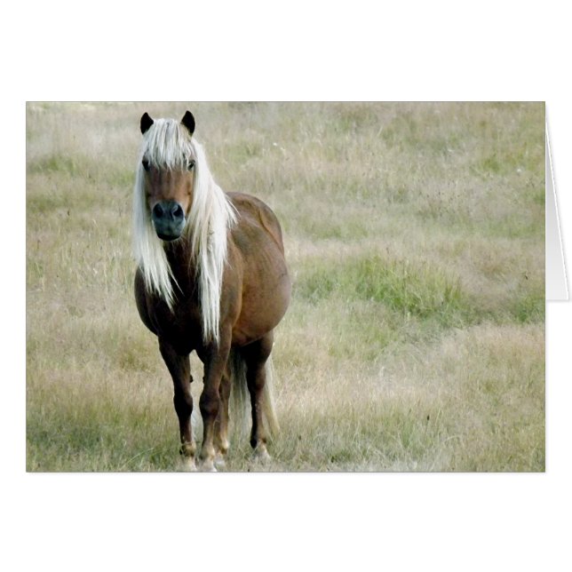 Cartão Um Cavalo, é claro... (Frente Horizontal)