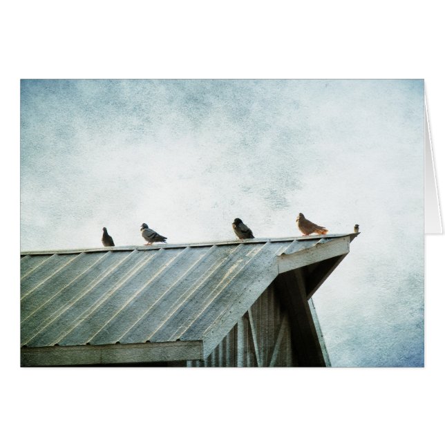 Cartão Um deles não pertence (Frente Horizontal)