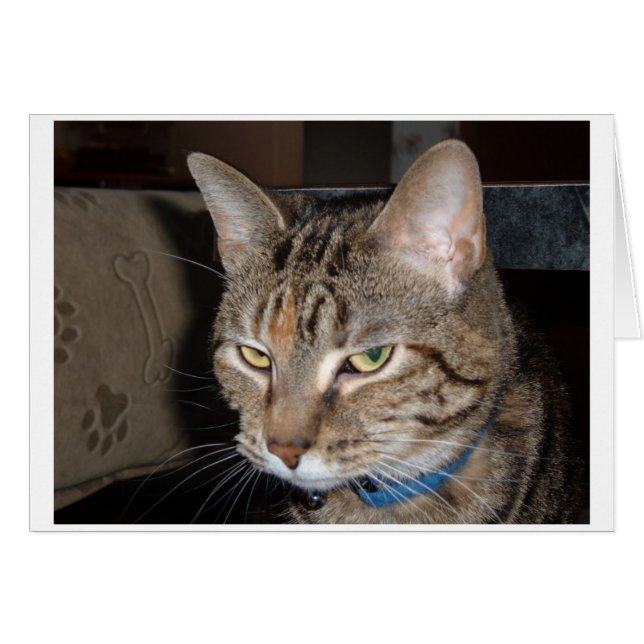 Cartão Um desses dias (Frente Horizontal)