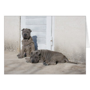 Cartão Um dia de cada vez…