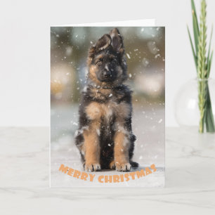 Cartão Um filhote de german shepherd no natal.