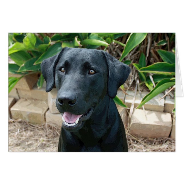 Cartão Um laboratório maravilhoso com mensagem de excelen (Frente horizontal)