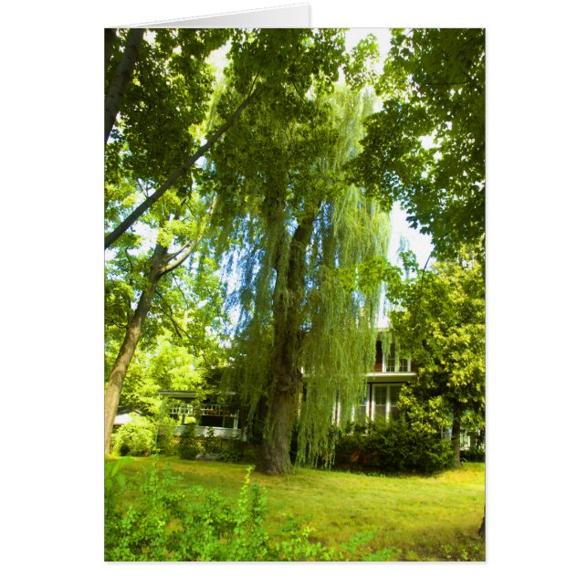 Cartão Um lugar além - Mistério quase na placa de visão (Frente)