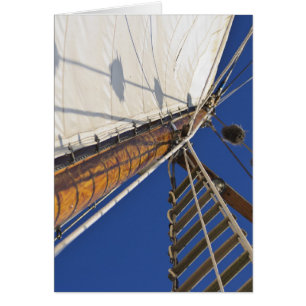 Cartão Um mastro De Perspectiva