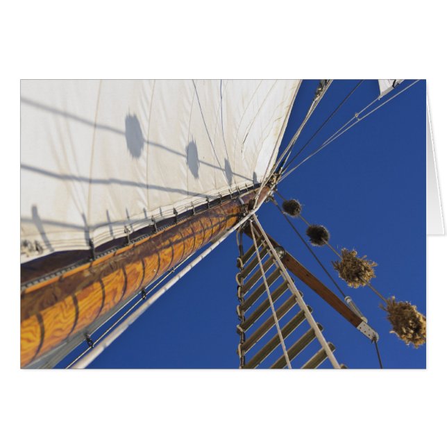 Cartão Um mastro De Perspectiva (Frente Horizontal)