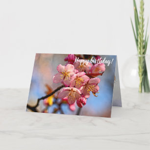 Cartão Um Monte De Blossomas De Cereja De Sakura Doce Em 