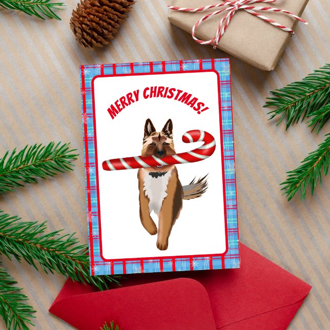 Cartão Um Natal de Canequinha de Pastore Alemão (Great for the German Shepherd fan! )