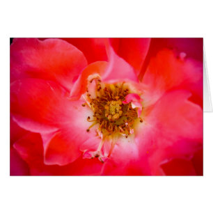 Cartão Um olhar dentro