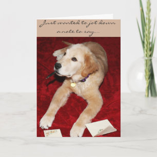 Cartão Um Ouro Escrevendo Uma Nota Dizendo Desculpe