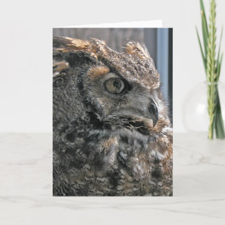 Cartão Um outro ano mais sábio