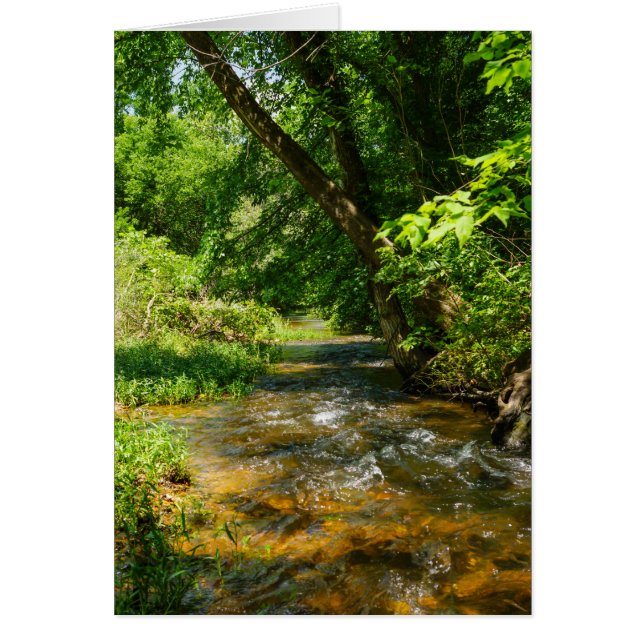 Cartão Um País Creek (Frente)