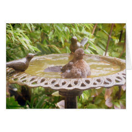 Cartão Um Pássaro Na Banheira