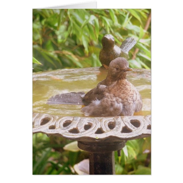 Cartão Um Pássaro Na Banheira (Frente)