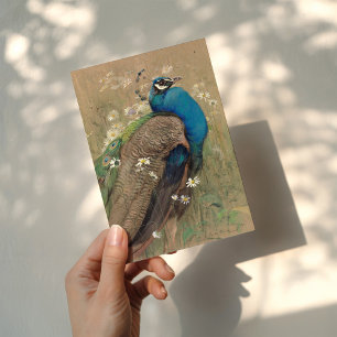 Cartão Um Pavão e Margueritas   Edwin John Alexander