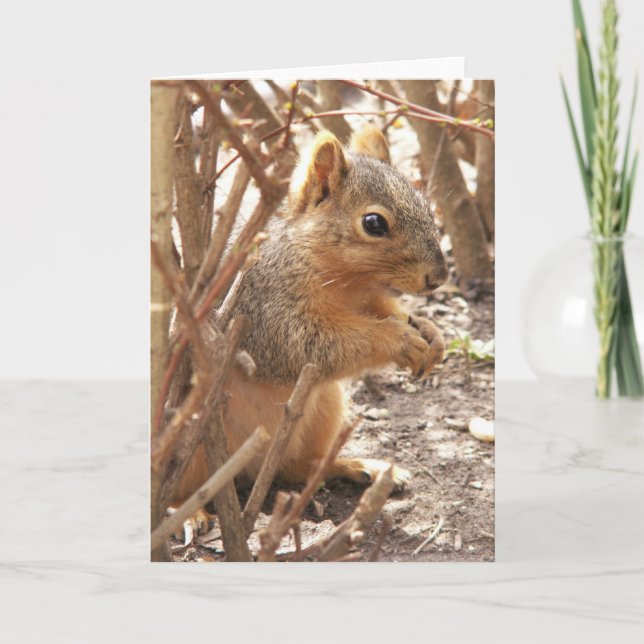 Cartão Um pequeno alô (Frente)