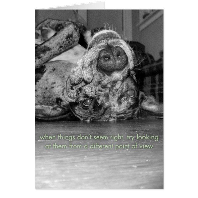 Cartão Um ponto de vista diferente (Frente)