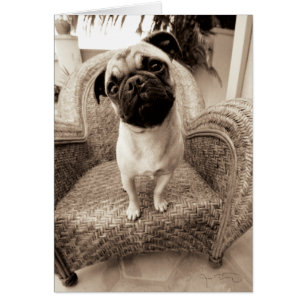 Cartão Um Pug com a Cabeça Titular ao Lado