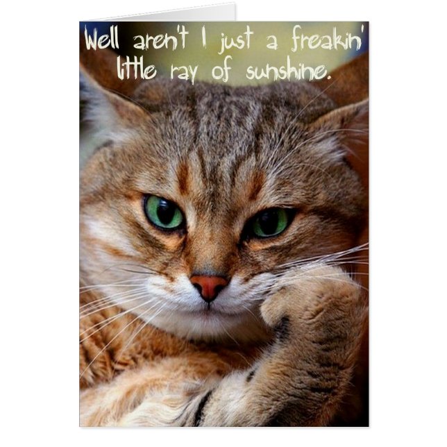 Cartão Um raio de Freakin de luz do sol (Frente)