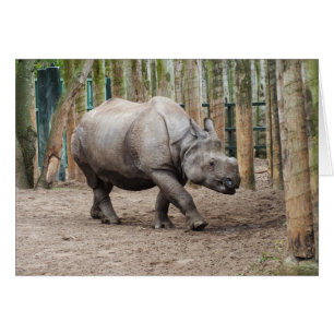 Cartão Um rinoceronte de chifre