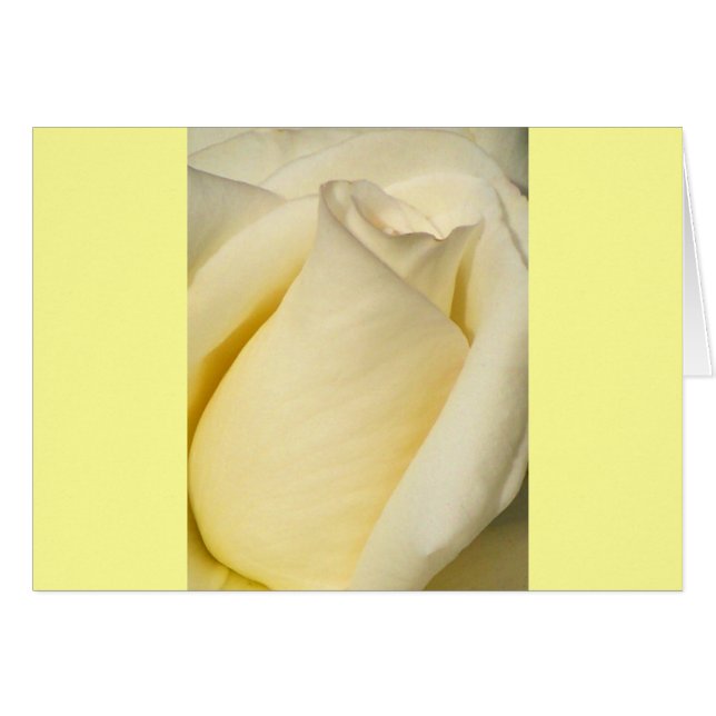 Cartão Um Rosa de Solteiro_ (Frente horizontal)