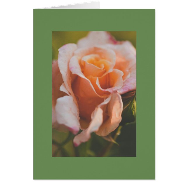 Cartão Um rosa debaixo da chuva (Frente)