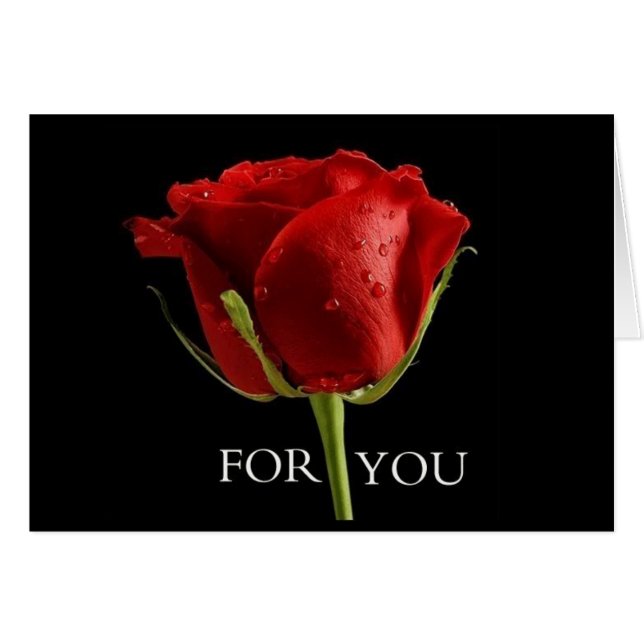 CARTÃO UM ROSA LINDO PARA ***MELHOR AMIGO** NO ANIVERSÁRI (Frente Horizontal)