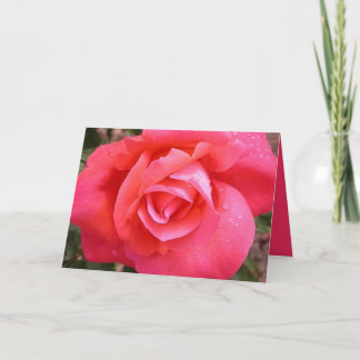 Cartão Um rosa na flor