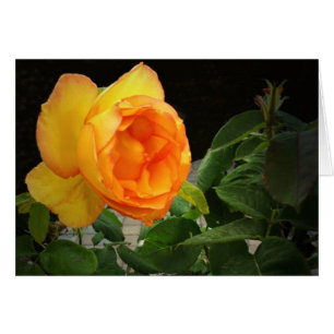 Cartão Um rosa para meu irmão