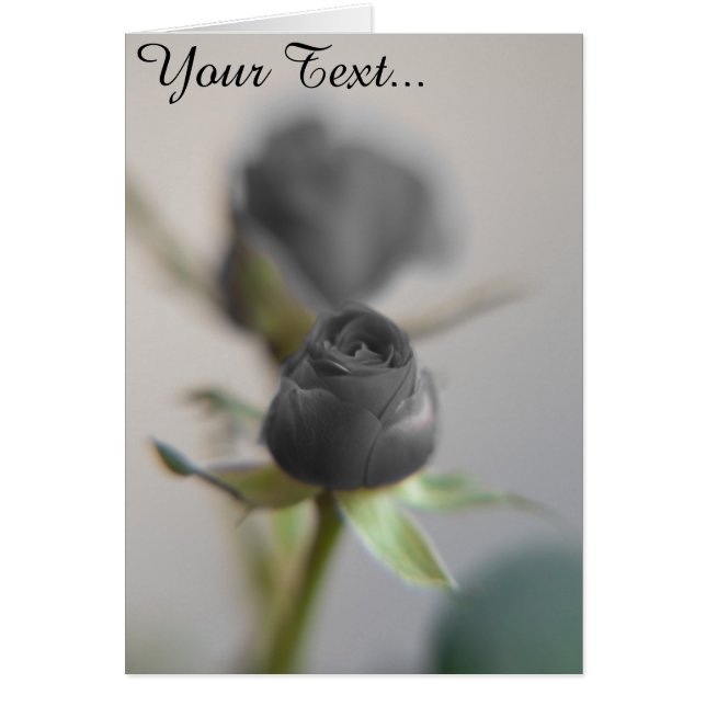 Cartão Um rosa preto (Frente)