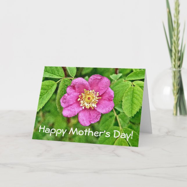 Cartão Um selvagem aumentou (Frente)