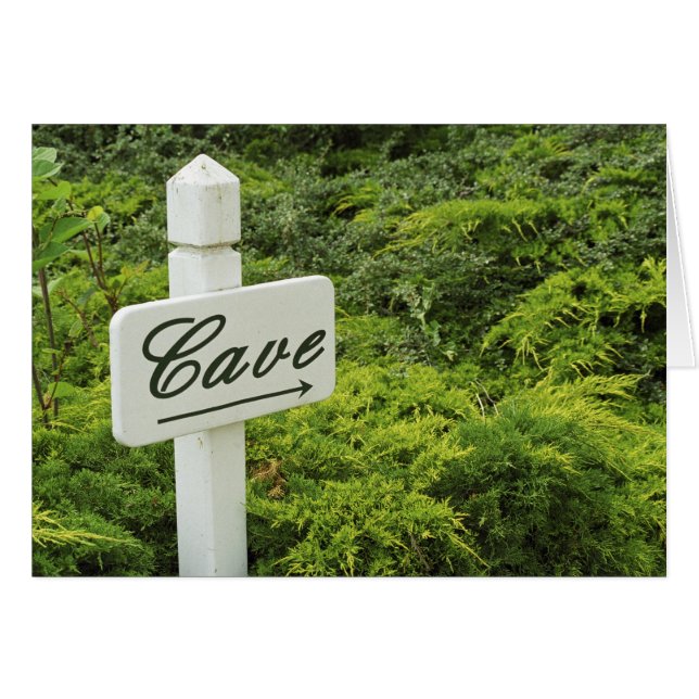 Cartão Um sinal apontando para a adega (Cave) em (Frente Horizontal)