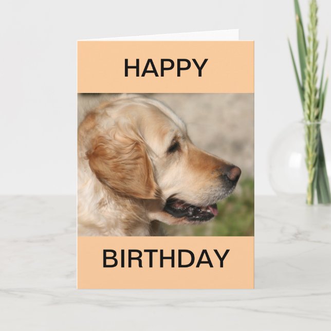 Cartão Um sorriso de Labrador (Frente)